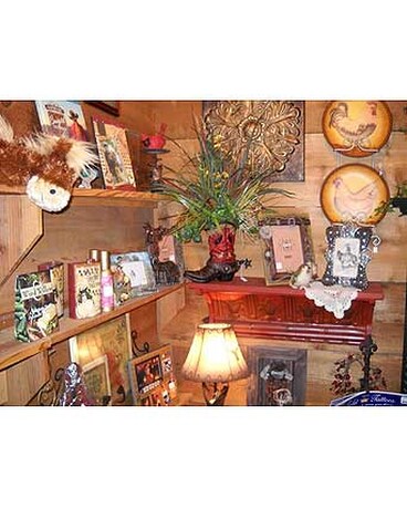 View Our Store
